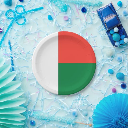 Madagaskar Papieren Bordje (Feest)
