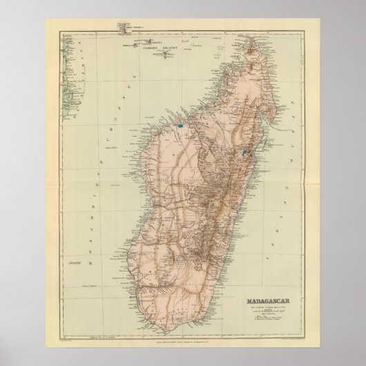 Madagaskar Poster (Voorkant)