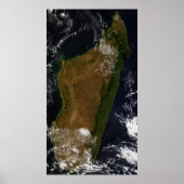 Madagaskar Poster (Voorkant)