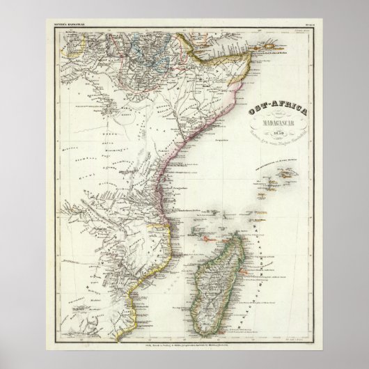 Madagaskar Poster (Voorkant)