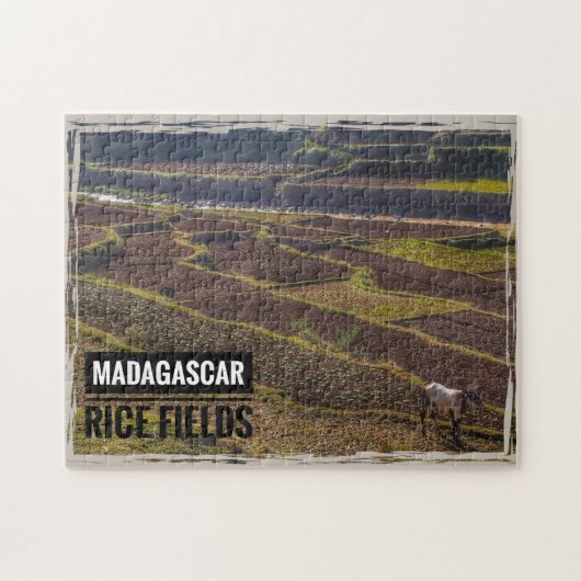Madagaskar rijstveld met geit legpuzzel (Horizontaal)
