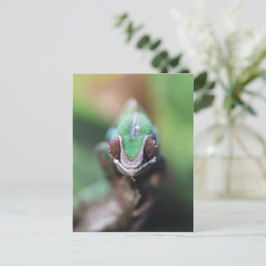 Madagaskar, Rode bar Panther Chameleon Briefkaart (Staand voorkant)