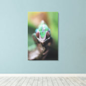Madagaskar, Rode bar Panther Chameleon Canvas Afdruk (Insitu (Houten vloer))