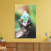 Madagaskar, Rode bar Panther Chameleon Canvas Afdruk (Insitu (Woonkamer))