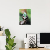 Madagaskar, Rode bar Panther Chameleon Poster (Thuiskantoor)