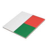 Madagaskar Tegeltje (Zijkant)