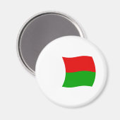 Madagaskar Vlag Magneet (Voorkant / Achterkant)