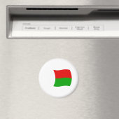 Madagaskar Vlag Magneet (Insitu (Vaatwasser))