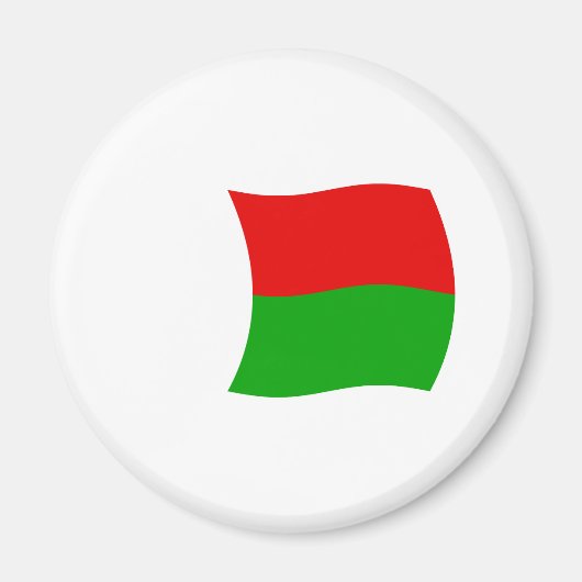 Madagaskar Vlag Magneet (Voorkant)