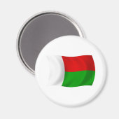 Madagaskar Vlag Magneet (Voorkant / Achterkant)