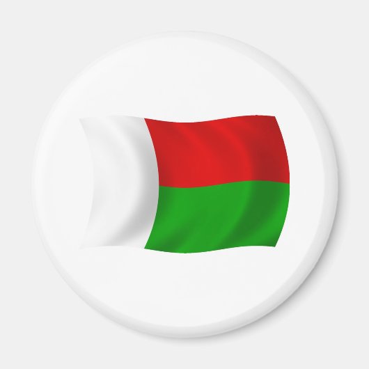 Madagaskar Vlag Magneet (Voorkant)