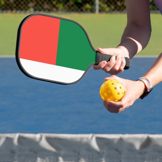 Madagaskar vlag pickleball paddle (Insitu)