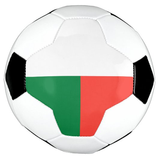 Madagaskar Voetbal (Gedraaid)