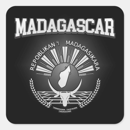 Madagaskar-wapenschild Vierkante Sticker (Voorkant)