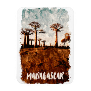 Madagaskarlaan van het Baobabs-landschap Magneet