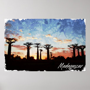 Madagaskarlaan van het Baobabs Panorama-Uitzicht Poster