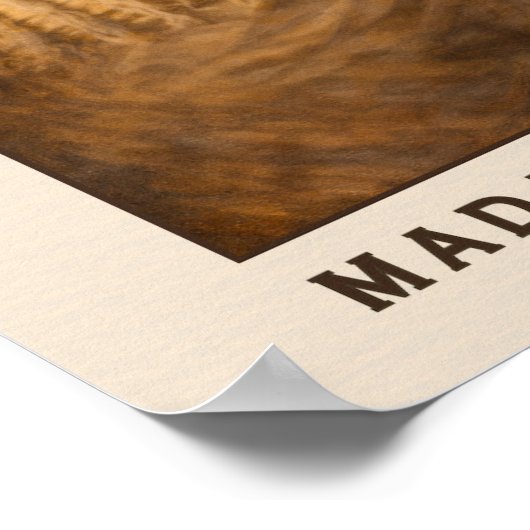 Madam C.J. Walker Portrait Art Poster (Hoek)