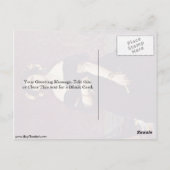 Madame Moitessier van Ingres Auguste Dominique Briefkaart (Achterkant)