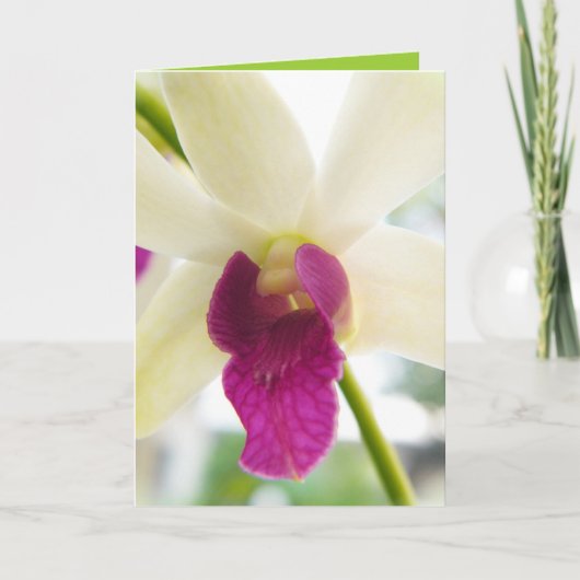 Madame Orchid Kaart (Voorkant)