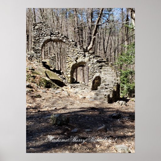 Madame Sherry staatsbos Poster (Voorkant)