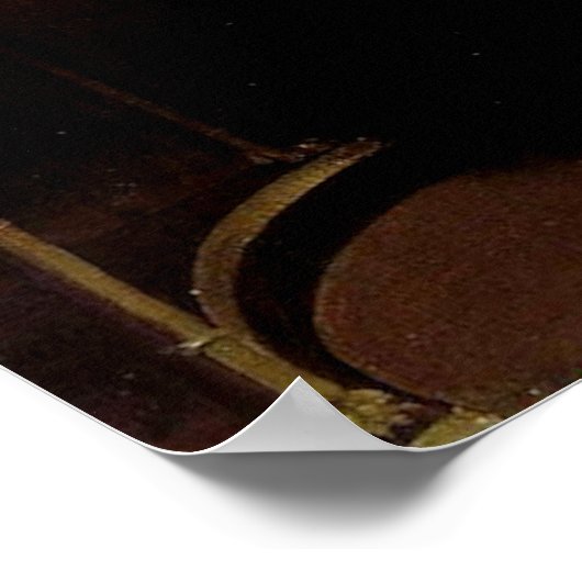 Madame X Poster (Hoek)