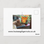 MadCatWoman and the Polecats Briefkaart (Achterkant)