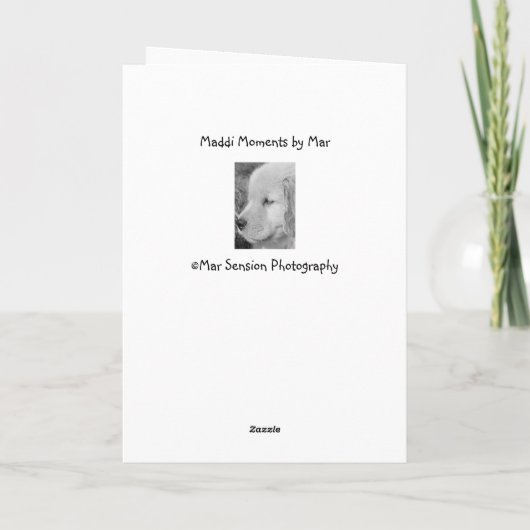 Maddi Tuin Verjaardagsfeest-2 Bedankkaart (Achterkant)