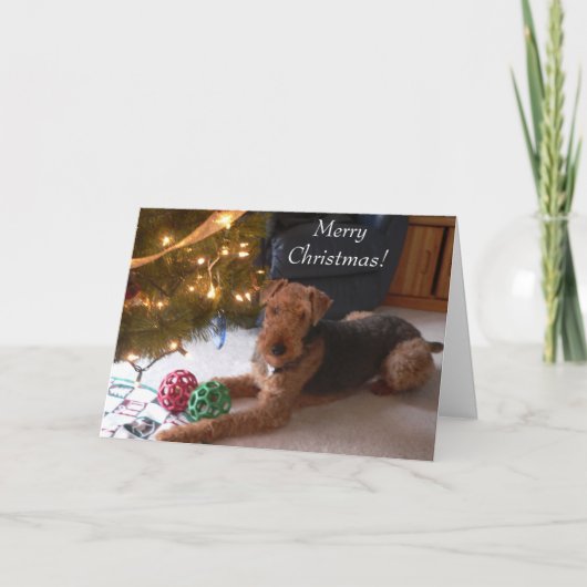 Maddie zegt, "Vrolijke Kerstmis! " Feestdagen Kaart (Voorkant)