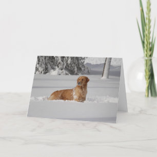 Maddi's sneeuw kaart