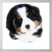 MadDog's Baby face Print (Voorkant)