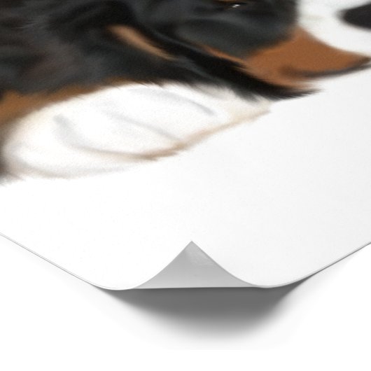 MadDog's Sneak a Peek Print (Hoek)