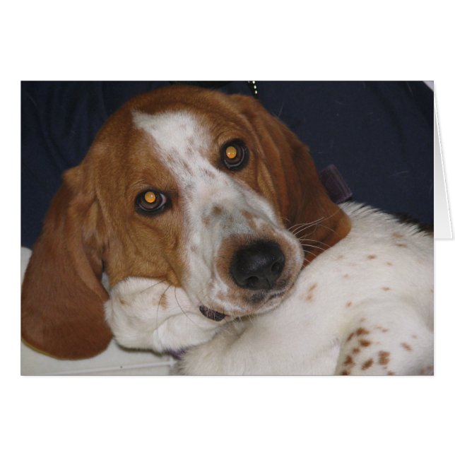 Maddy May (Voorkant Horizontaal)