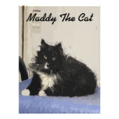 Maddy The Cat Poster Foto (Voorkant)