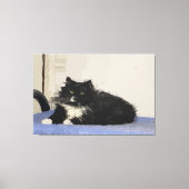 Maddy the Cat Stretched Canvas Print (Voorkant)