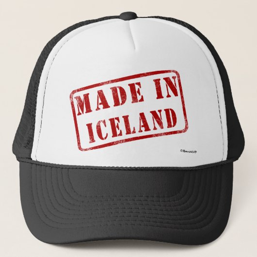 Made in IJsland Trucker Pet (Voorkant)