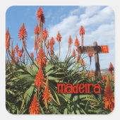 Madeira Aloe stickers (Voorkant)