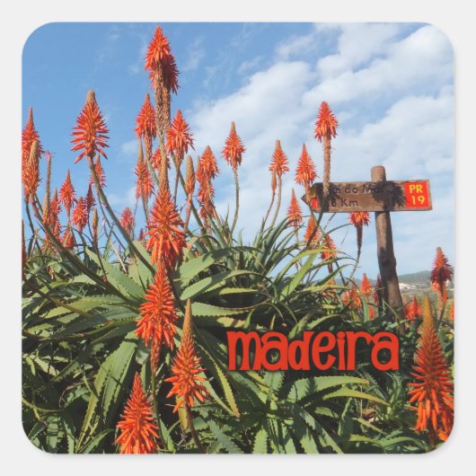 Madeira Aloe stickers (Voorkant)