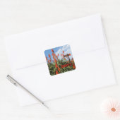 Madeira Aloe stickers (Envelop)