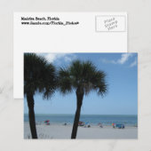Madeira Beach Palms Briefkaart (Voorkant / Achterkant)