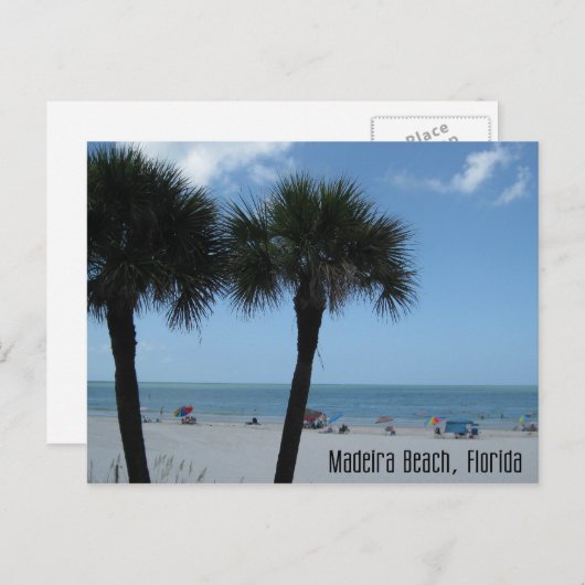 Madeira Beach Palms Briefkaart (Voorkant / Achterkant)