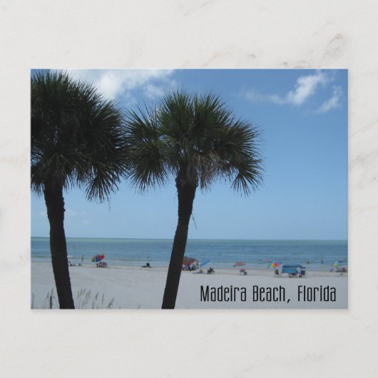 Madeira Beach Palms Briefkaart (Voorkant)