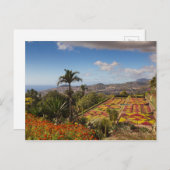 Madeira - Botanische tuin van briefkaart van Funch (Voorkant / Achterkant)