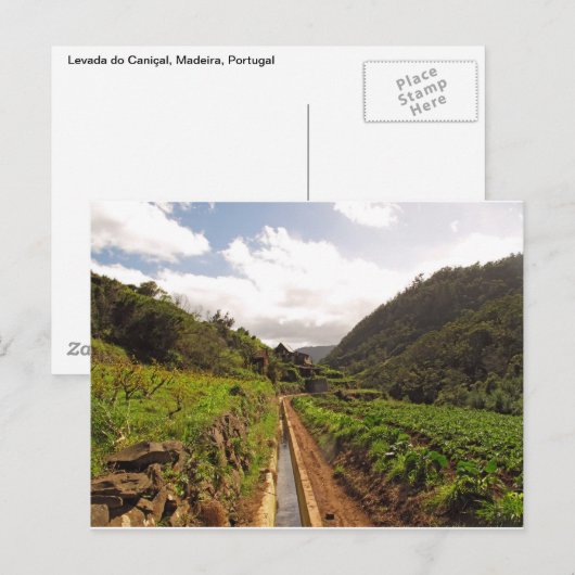 Madeira briefkaart (Voorkant / Achterkant)