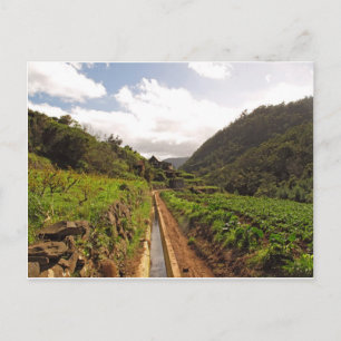 Madeira briefkaart