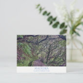 Madeira - Caldeirao Verde briefkaart met tekst (Staand voorkant)