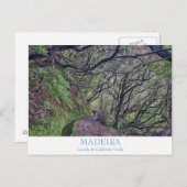 Madeira - Caldeirao Verde briefkaart met tekst (Voorkant / Achterkant)