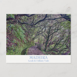 Madeira - Caldeirao Verde briefkaart met tekst