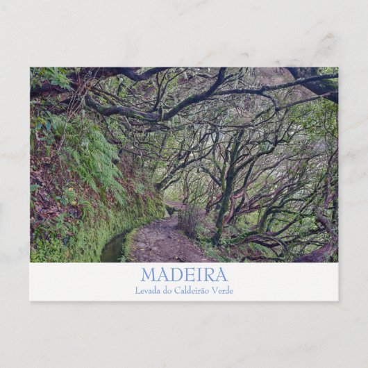 Madeira - Caldeirao Verde briefkaart met tekst (Voorkant)