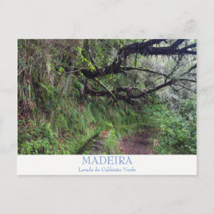 Madeira - Caldeirao Verde briefkaart met tekst