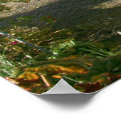 Madeira Eiland foto met Typische Huizen, Portugal Poster (Hoek)